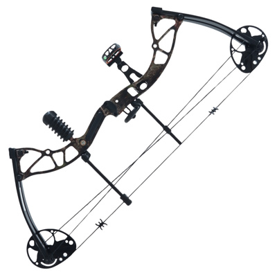 Compound Bows