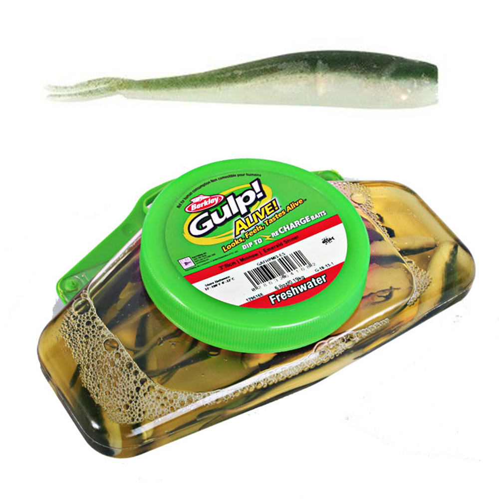 Buy Berkley Gulp Alive Minnows Mini Soft Bait Tub Emerald Shiner 7cm online  at