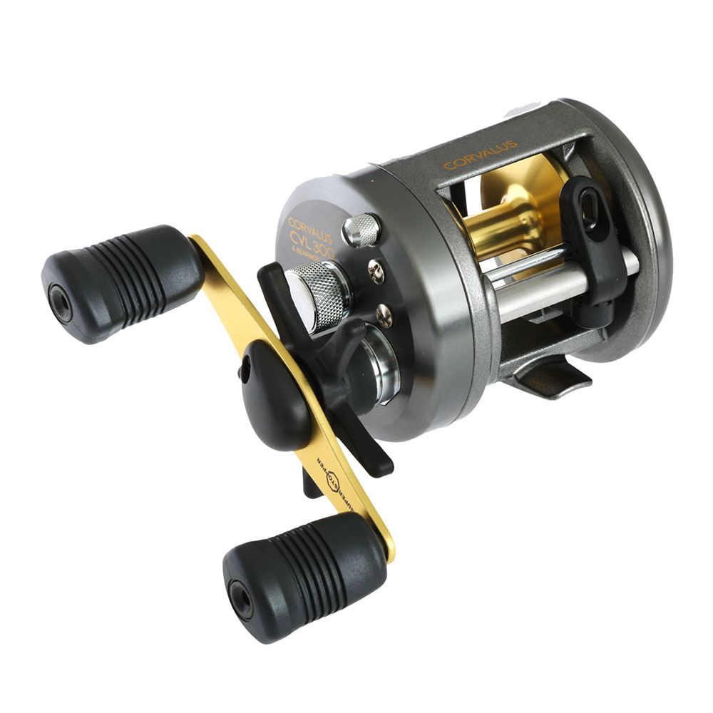 Shimano corvalus 300 Clearance