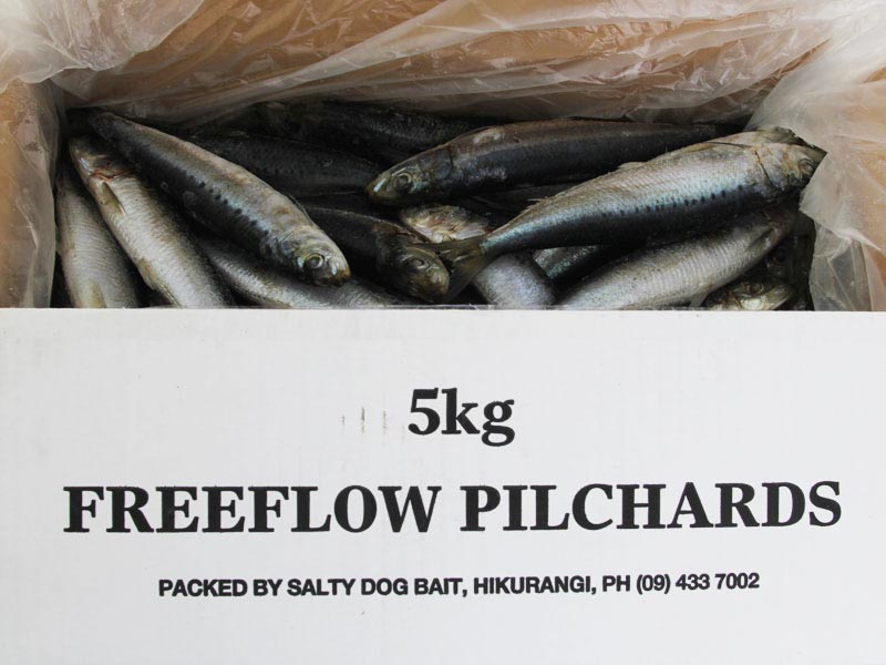 Buy Salty Dog NZ Pilchards Regular Size online at