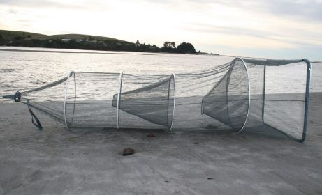 Buy FishFighter Whitebait Sock Net with 2 Traps 0.9 x 1.3m online at