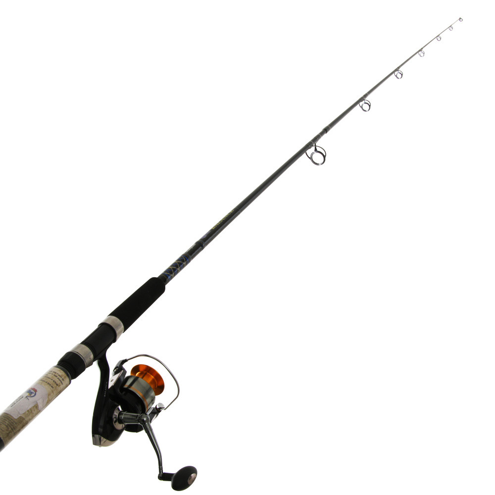 ugly stik elite 10ft