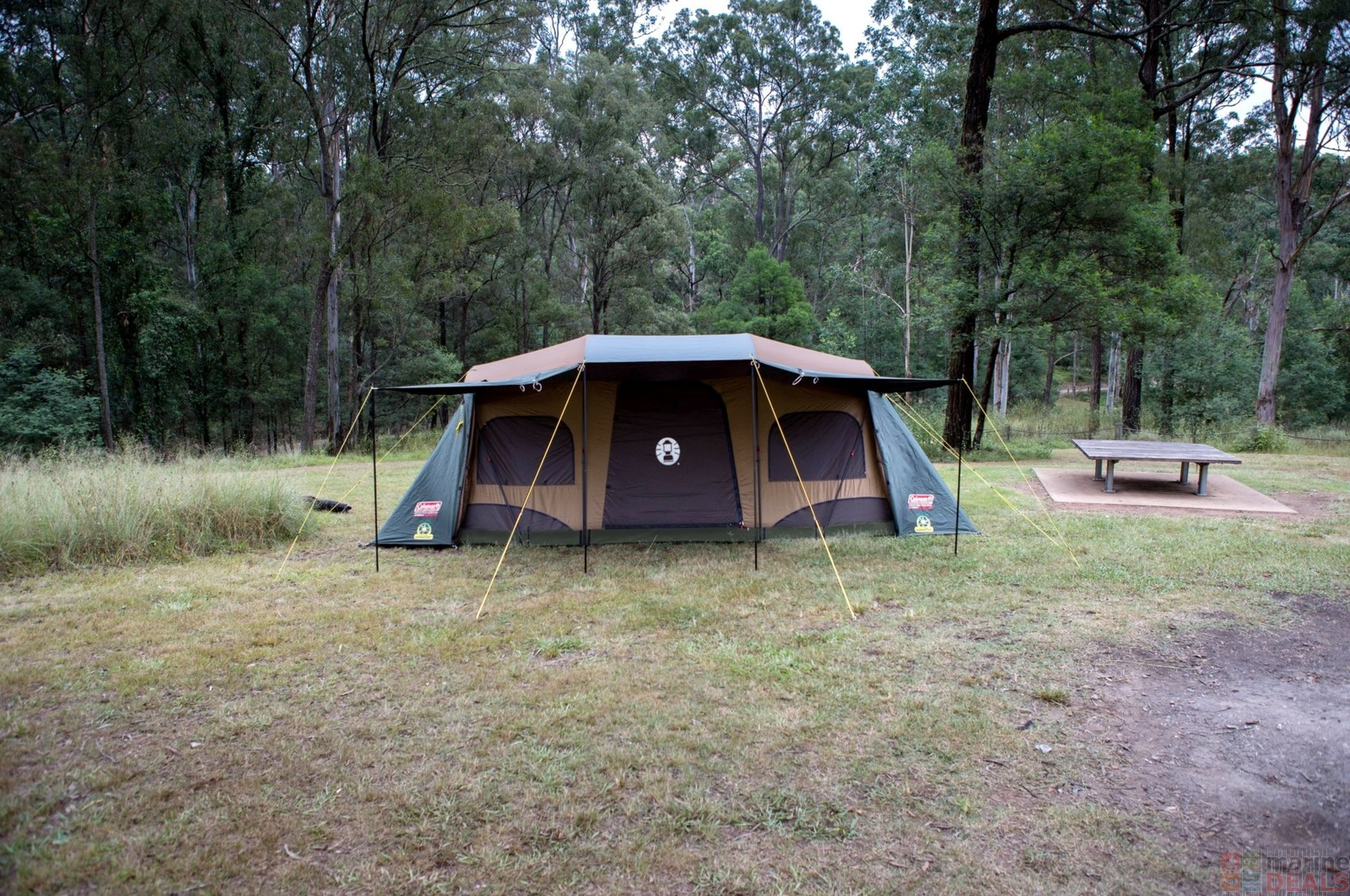 coleman instant northstar darkroom 10p