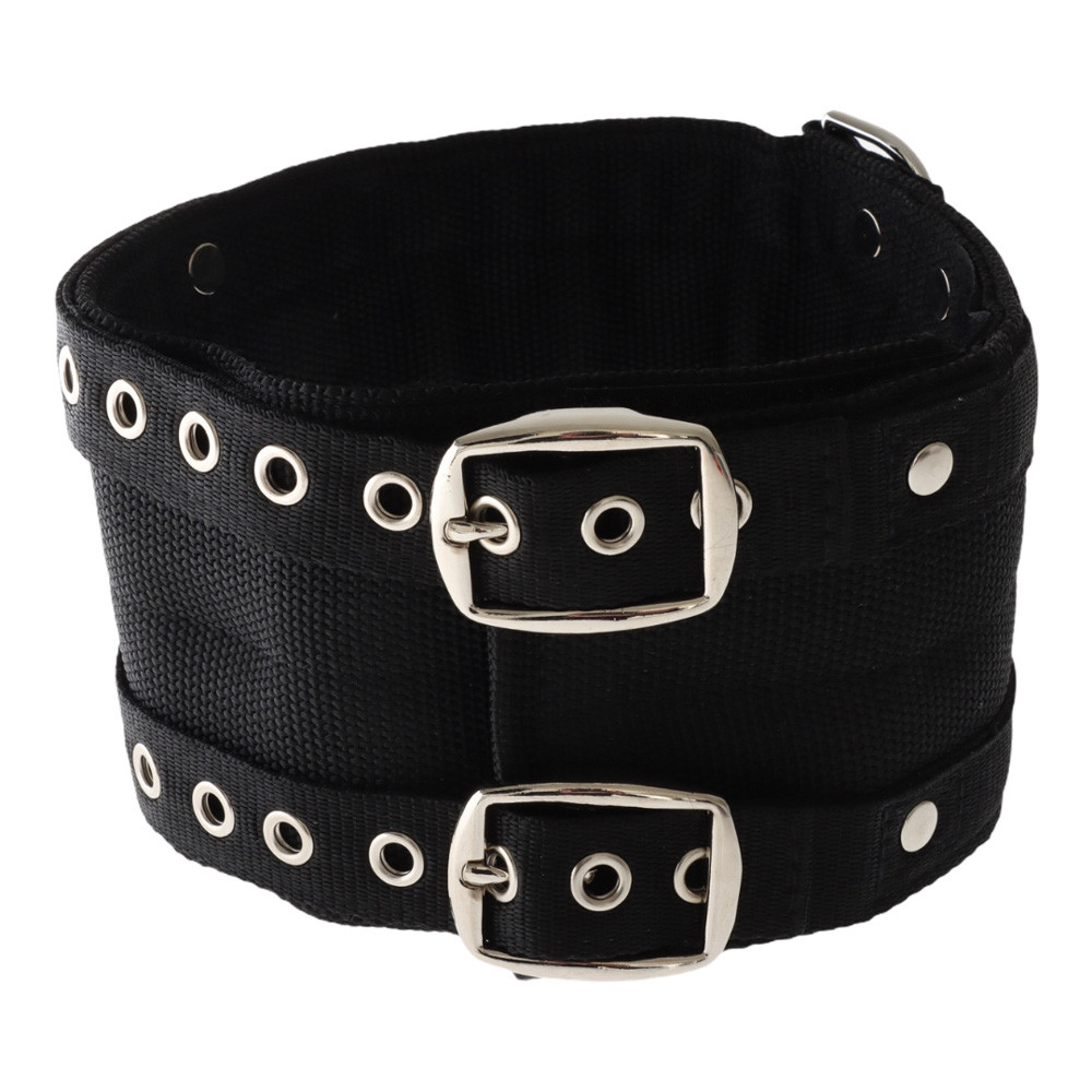 Buy Ridgeline Standard Pig Dog Cordura Rip Collar online at Marine