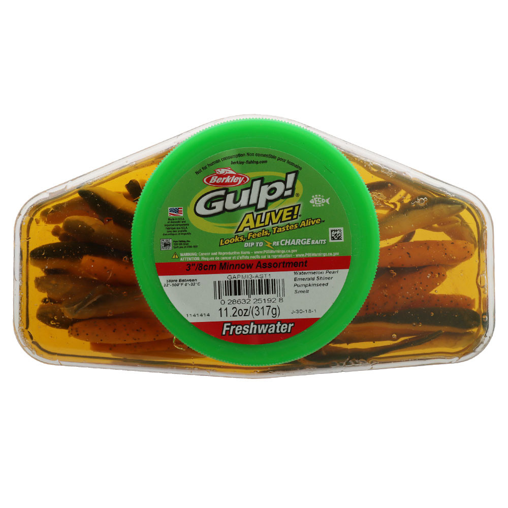 Buy Berkley Gulp Alive Assorted Minnows Soft Bait Tub 8cm online at
