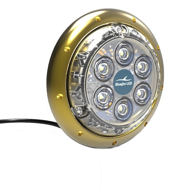 Buy Bluefin LED Piranha P12 Surface Mount Underwater Light 55W online