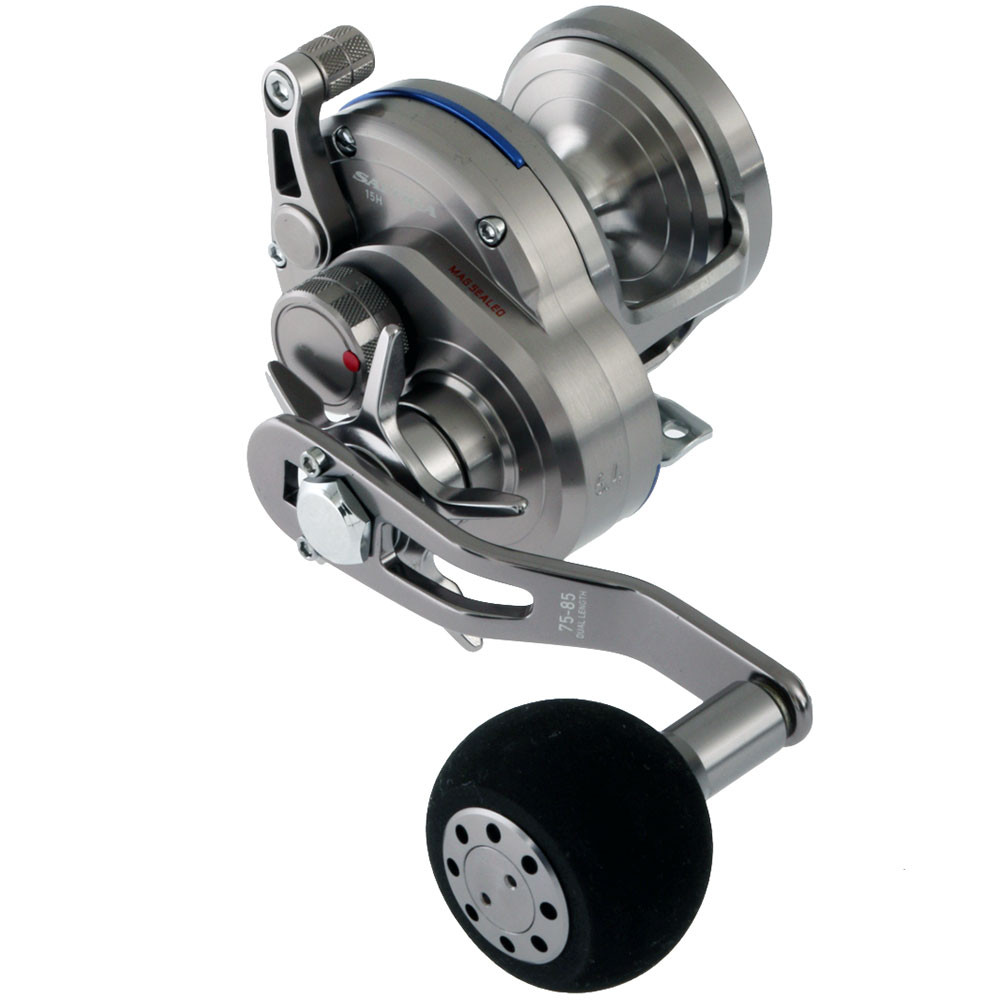 daiwa saltiga 15h