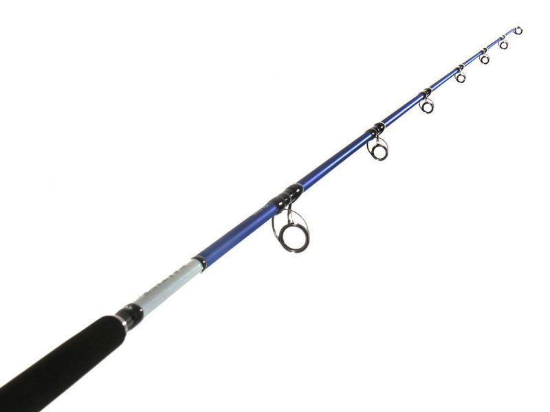 daiwa saltist hyper rod