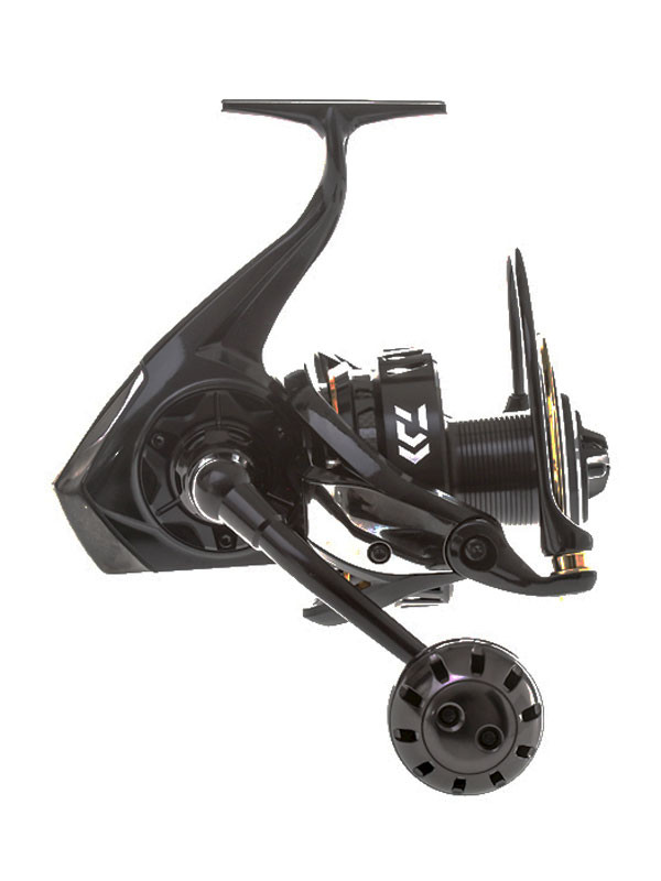 daiwa saltiga dogfight 8000