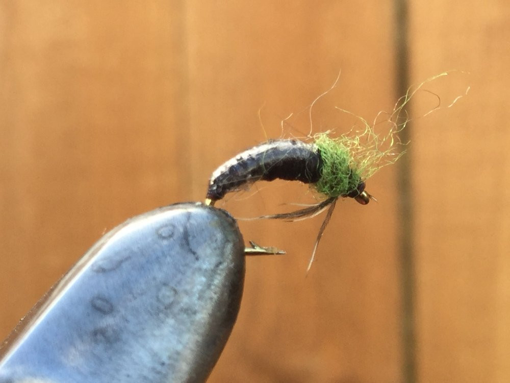 Buy NZ Fishing Flies Horncased Caddis Nymph 14 online at MarineDeals