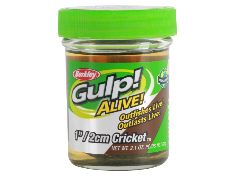 Buy Berkley Gulp Alive Soft Bait Cricket 2cm Breen online at Marine