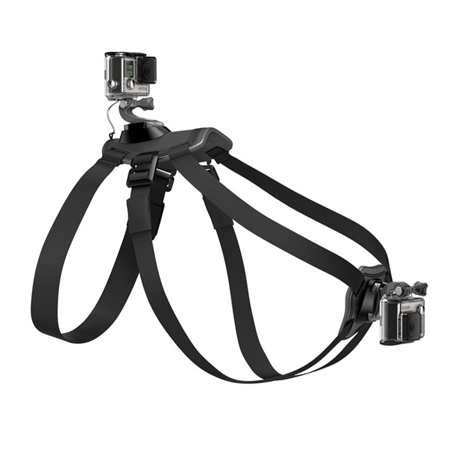 Buy GoPro Fetch Dog Harness Camera Mount online at MarineDeals.co.nz