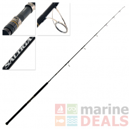 daiwa saltiga rod 2019