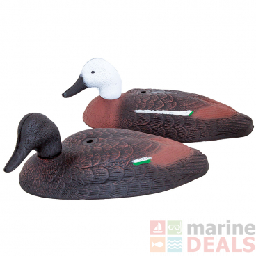 Outdoor Outfitters 18in Foam Paradise Shell Decoys with Lightweight Field Stakes