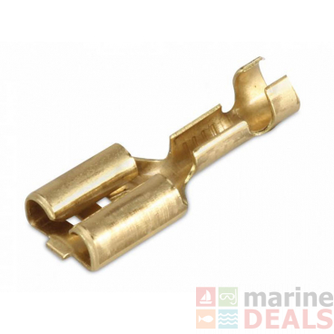 Hella Marine Brass Lucar Terminal - 6.3mm Qty 100