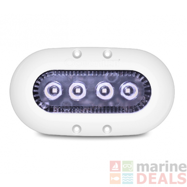 OceanLED X4 X-Series LED Underwater Light Ultra White