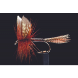 Manic Tackle Project Kakahi Queen Dry Fly #12