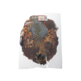 Wapsi Ringneck Pheasant Skin Natural Cock