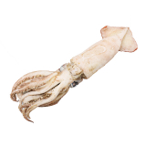Salty Dog Broadbill Arrow Squid XL 400g