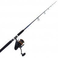 Daiwa BG MQ and Penn Ocean Assassin Stickbait Combo