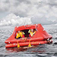 Buy RFD Seasava Pro-ISO 4-Man Life Raft Solas B Container online