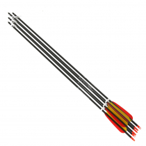 Ek Archery Black Carbon Arrows 30in 6 Pack