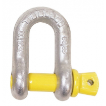 BLA Shackle Dee Galv Rated 6mm