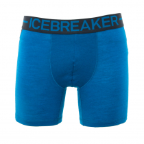 Icebreaker Mens Merino Hybrid Anatomica Zone Boxers Alpine/Monsoon L