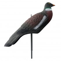 Outdoor Outfitters Pigeon Shell Decoy 41cm 12-Pack
