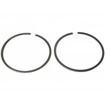 Sierra 18-3975 Marine Piston Ring for Johnson/Evinrude Outboard Motor