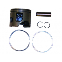 Buy Sierra 18-4120 Marine Piston for Johnson/Evinrude Outboard