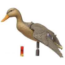 Outdoor Outfitters 25in Flying Mallard Hen with Spring and Pole