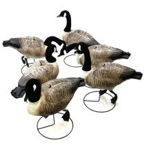 Game On Canada Goose Full Body Pro Grade Qty 6 with Flocked Heads