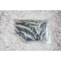 Salty Dog Anchovies 500g