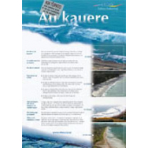 Rip Currents - Maori Poster