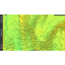 C-MAP Reveal Chart - NZ/Chatham/Kermadec
