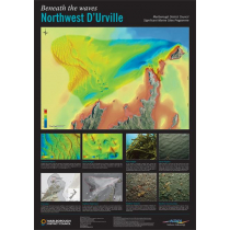 Beneath the Waves: Northwest D'Urville Poster