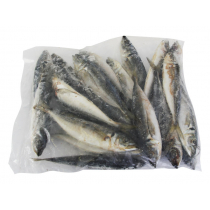 Salty Dog New Zealand Jack Mackerel 5kg Freeflow Box