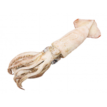 Salty Dog Broadbill Arrow Squid XL 400g
