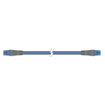 Raymarine SeaTalkng Backbone Cable