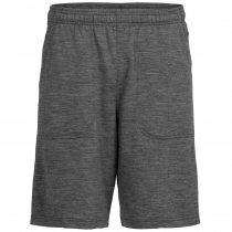 Icebreaker Shifter Mens Shorts Grey