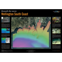 Wellington South Coast Poster