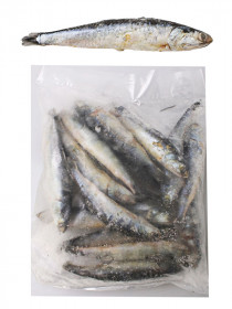 Salty Dog Anchovies Freeflow Bag 1lb