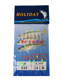 Sabiki Rigs Full Range