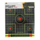 Fun Target Shoot-and-Show Targets 12in