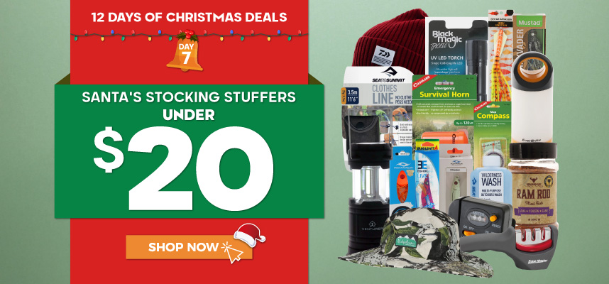 12 Days of Christmas - Day 7