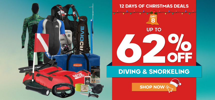 12 Days of Christmas - Day 8