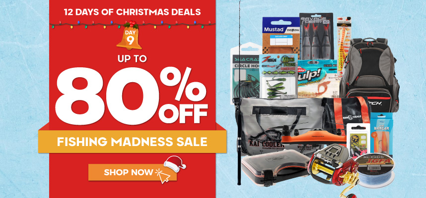 12 Days of Christmas - Day 9