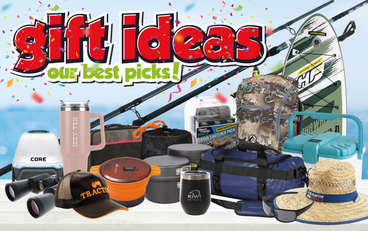 Gift Ideas - Top picks Banner