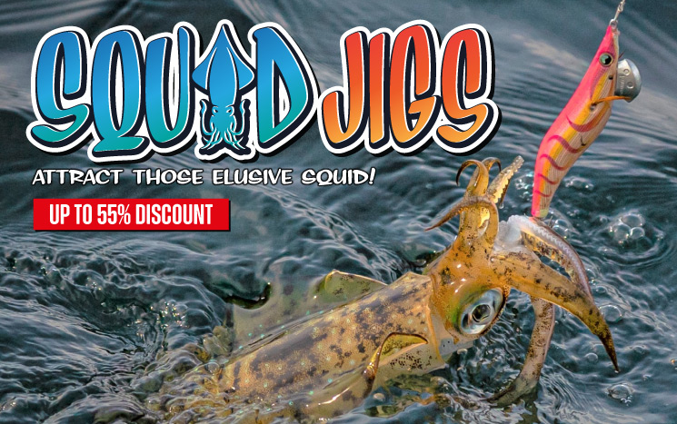 Squid Jigs Banner